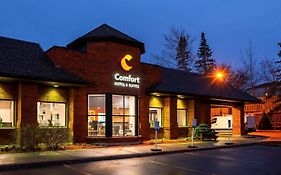 Comfort Hotel & Suites